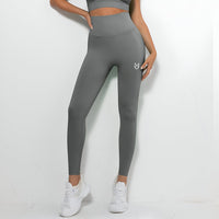 VANI-SEAMLESS FIT LEGGINGS