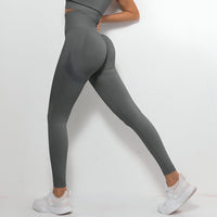 VANI-SEAMLESS FIT LEGGINGS