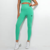 VANI-SEAMLESS FIT LEGGINGS