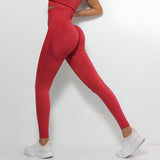 VANI-SEAMLESS FIT LEGGINGS