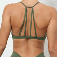 40630611804222|40630611869758|40630611902526