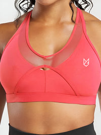 AUBREY-MESH SPORT BRA