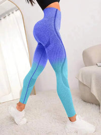 DINA-SEAMLESS GRADE LEGGINGS