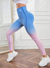 DINA-SEAMLESS GRADE LEGGINGS